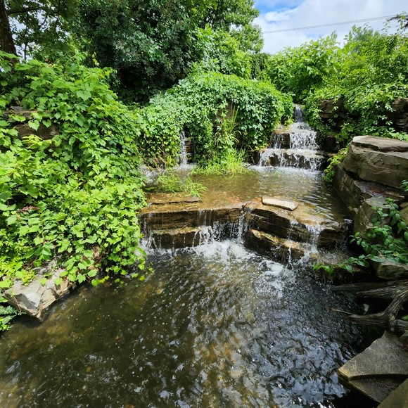 Meet your Posher, Posh - Picture 1 of 1